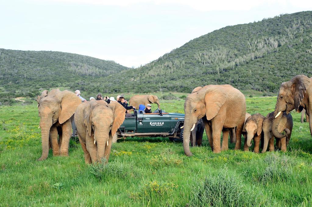 קנטון און סי Kariega Game Reserve River Lodge מראה חיצוני תמונה