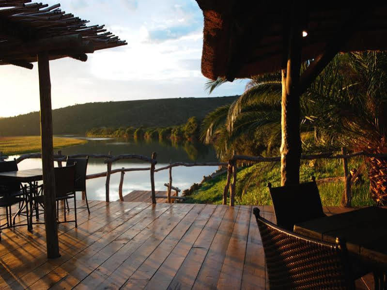 קנטון און סי Kariega Game Reserve River Lodge מראה חיצוני תמונה